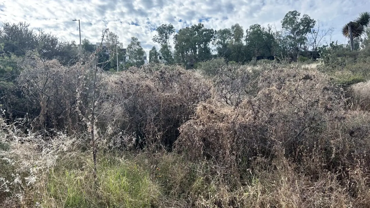 Conoce cuáles son las recomendaciones de Protección Civil ante las bajas temperaturas en Durango. | Foto: Alejandro Ávila