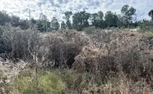 Estas son las recomendaciones de Protección Civil ante las bajas temperaturas en Durango