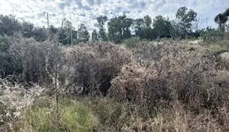 Estas son las recomendaciones de Protección Civil ante las bajas temperaturas en Durango