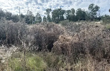 Estas son las recomendaciones de Protección Civil ante las bajas temperaturas en Durango
