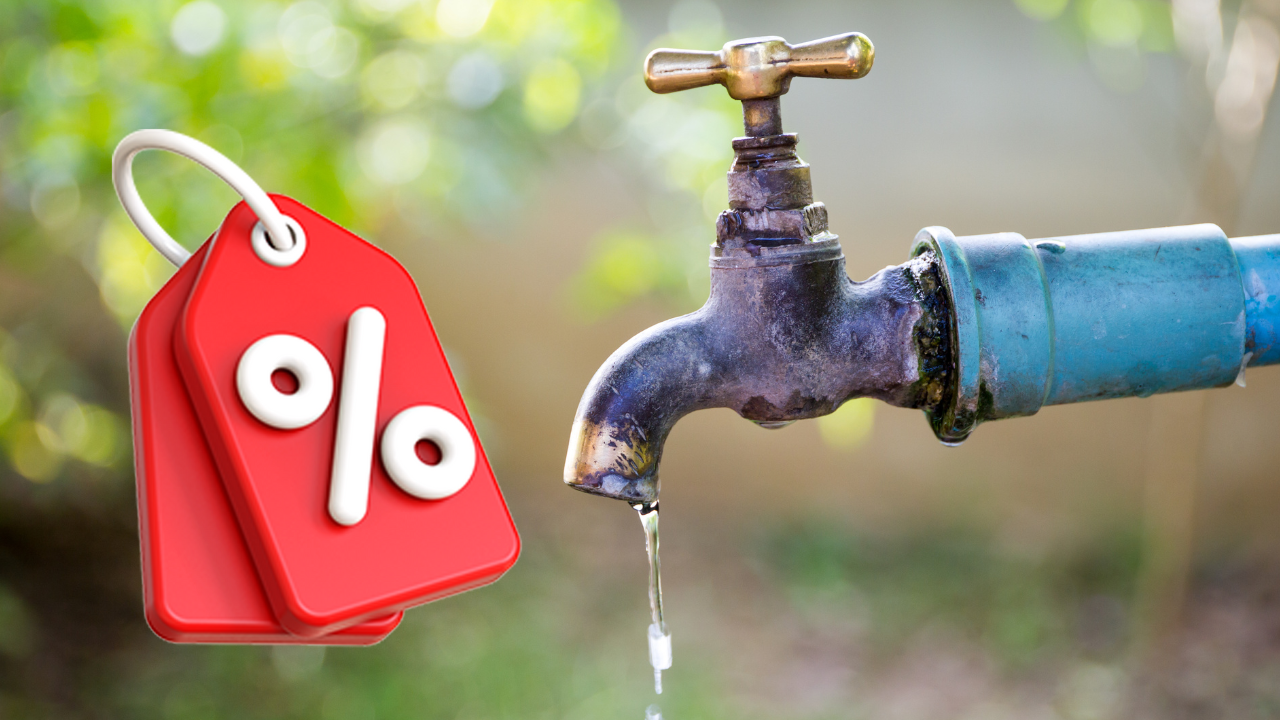 imagen-cuerpo imagen-cuerpo