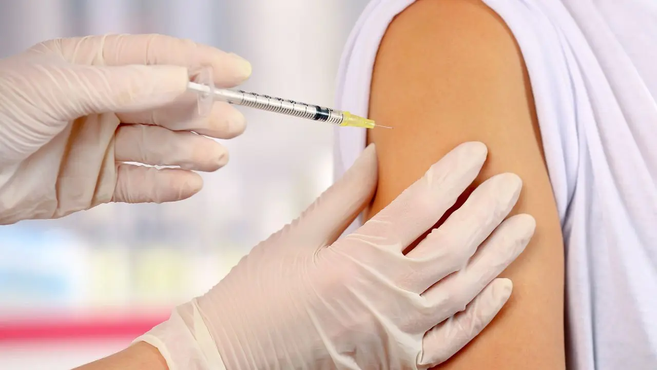 Imagen alusiva a una aplicación de vacua Foto: Canva