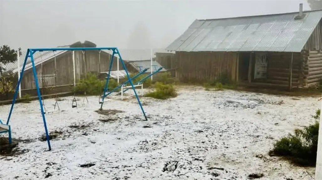 FOTOS | Durango registra la primera nevada del invierno 2025 - 2026 este 20 de noviembre