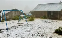 FOTOS | Durango registra la primera nevada del invierno 2025 - 2026 este 20 de noviembre