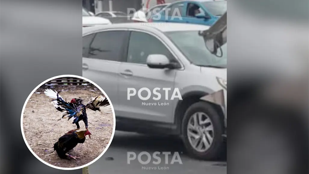 Identifican a hombre asesinado en Rómulo Garza; es vinculado con peleas de gallos