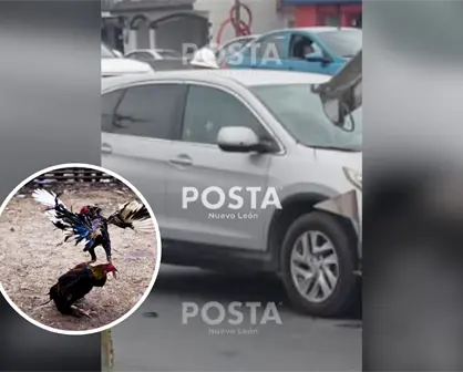 Identifican a hombre asesinado en Rómulo Garza; es vinculado con peleas de gallos