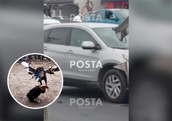 Identifican a hombre asesinado en Rómulo Garza; es vinculado con peleas de gallos