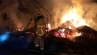FOTOS | Incendio en La Vinata, Durango, consumió parte de un aserradero