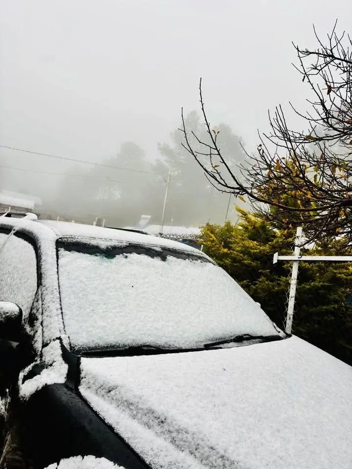 FOTOS | Durango registra la primera nevada del invierno 2025 - 2026 este 20 de noviembre