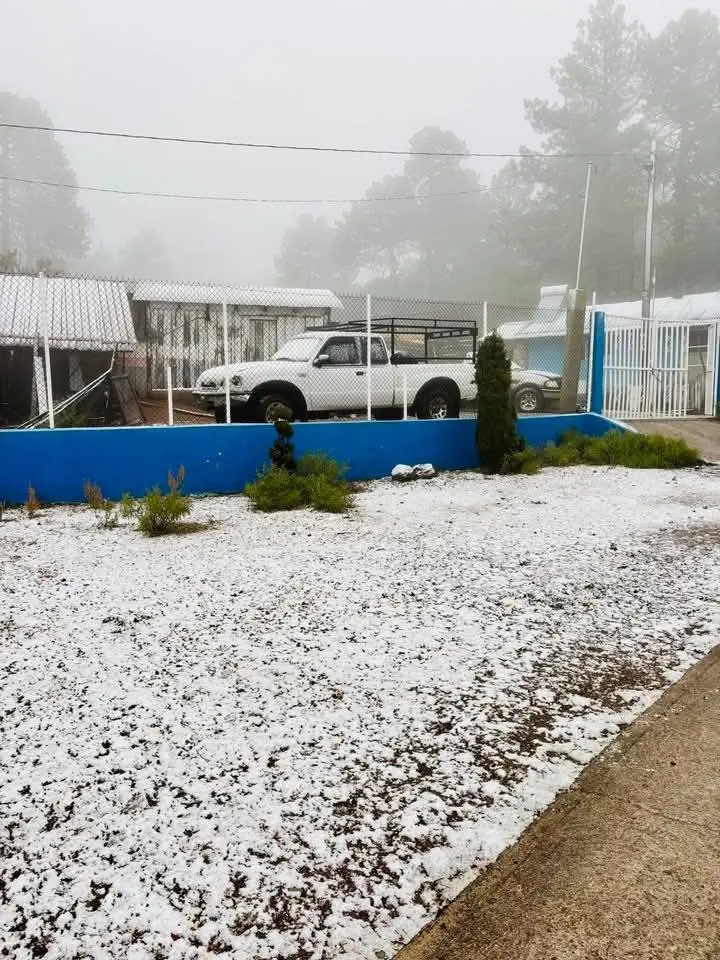 FOTOS | Durango registra la primera nevada del invierno 2025 - 2026 este 20 de noviembre