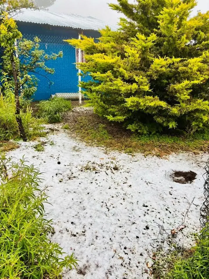 FOTOS | Durango registra la primera nevada del invierno 2025 - 2026 este 20 de noviembre