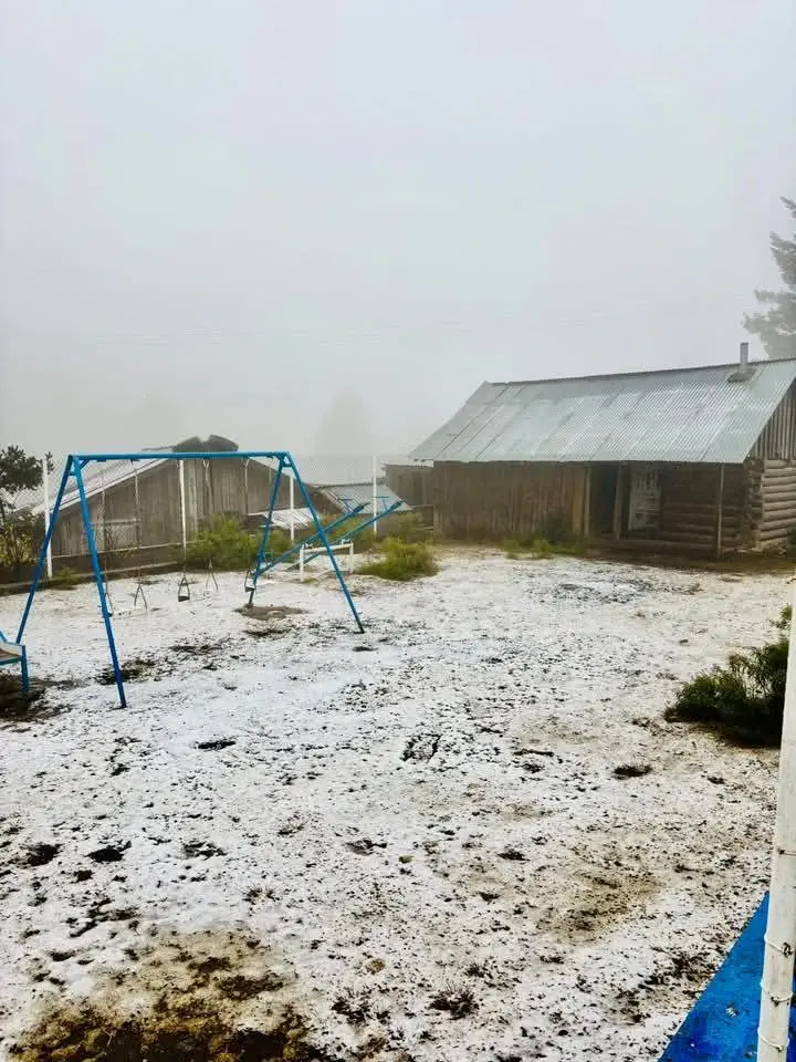 FOTOS | Durango registra la primera nevada del invierno 2025 - 2026 este 20 de noviembre