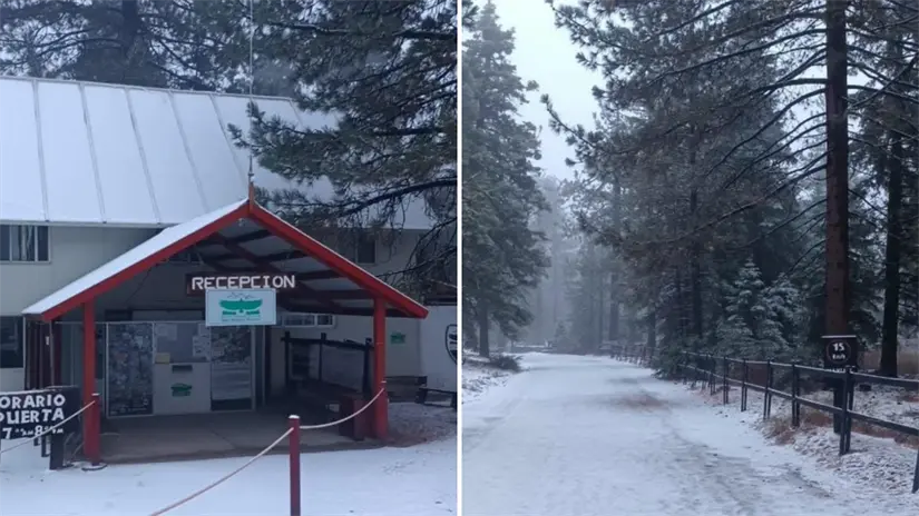 imagen recuadro Así se vio la primera nevada en Sierra de San Pedro Mártir. Foto: Protección Civil