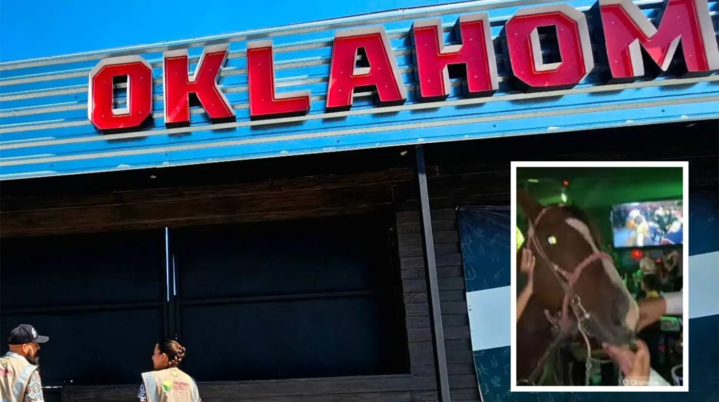 El bar Oklahoma en Saltillo ingresó a un caballo al establecimiento. (Fotografías: Facebook)