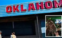 Propaec aplicará multas de más de 1 mdp en Coahuila por casos de maltrato animal Propaec aplicará multas de más de 1 mdp en Coahuila por casos de maltrato animal