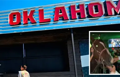 Propaec aplicará multas de más de 1 mdp en Coahuila por casos de maltrato animal