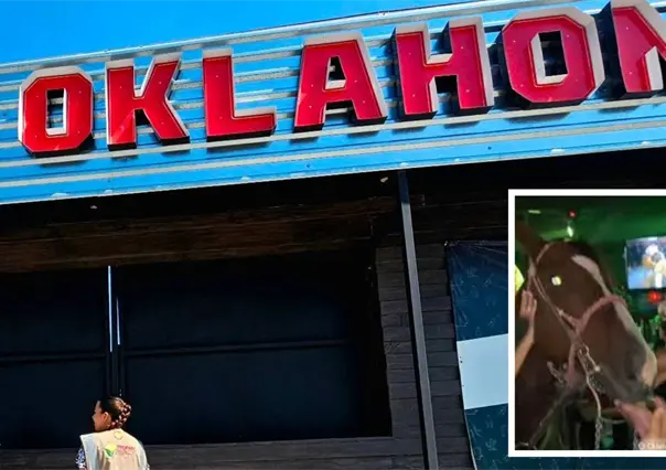 Propaec aplicará multas de más de 1 mdp en Coahuila por casos de maltrato animal