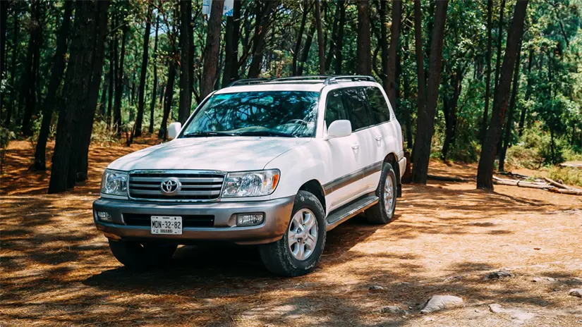 imagen recuadro Foto: Canva