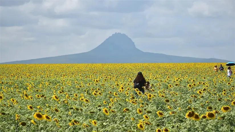 imagen recuadro imagen recuadro