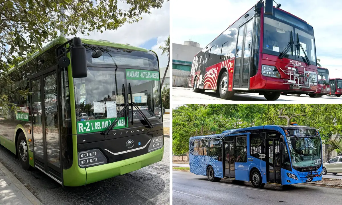 Unidades de transporte público en Quintana Roo, Campeche y Yucatán Foto: Imoveqroo/ATY/Gobierno de Campeche