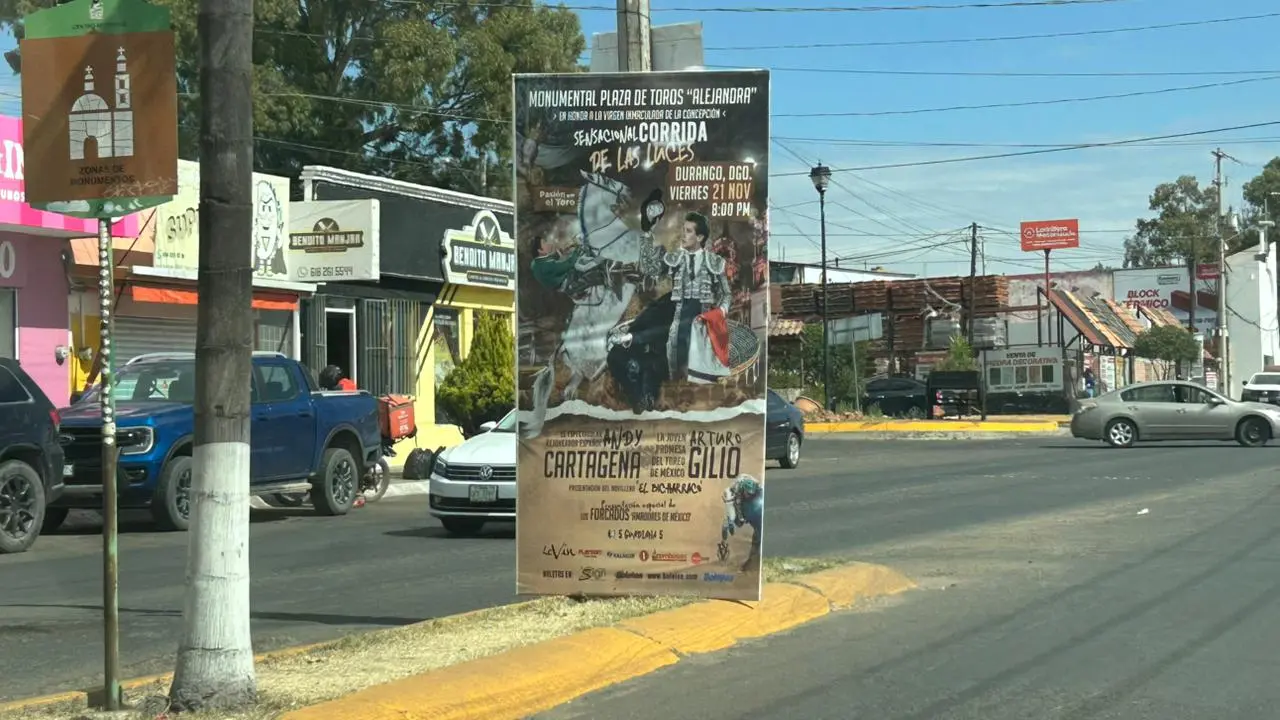La mayoría de los pendones que existen en la ciudad carecen de permiso. | Foto: Alejandro Ávila.
