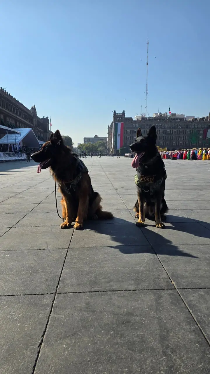 imagen recuadro Foto: Mario Flores