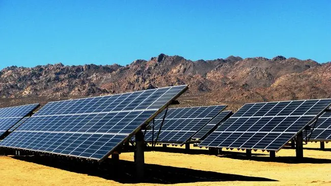 imagen recuadro imagen recuadro