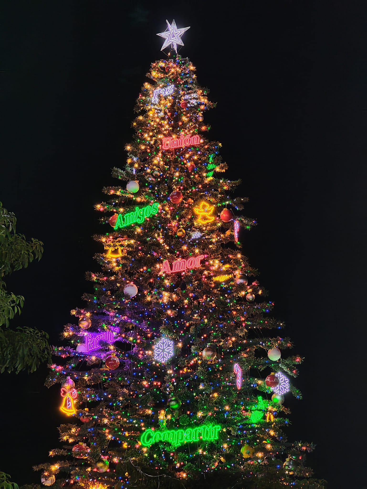 imagen-cuerpo imagen-cuerpo