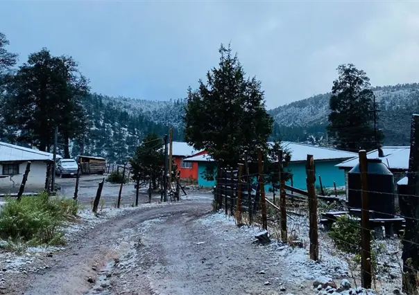 Clima en Durango: ¿Seguirán las nevadas este 21 de noviembre?