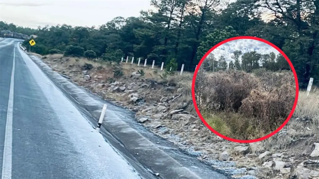 ¿De qué magnitud fue la primera nevada del año en Durango, según Conagua?