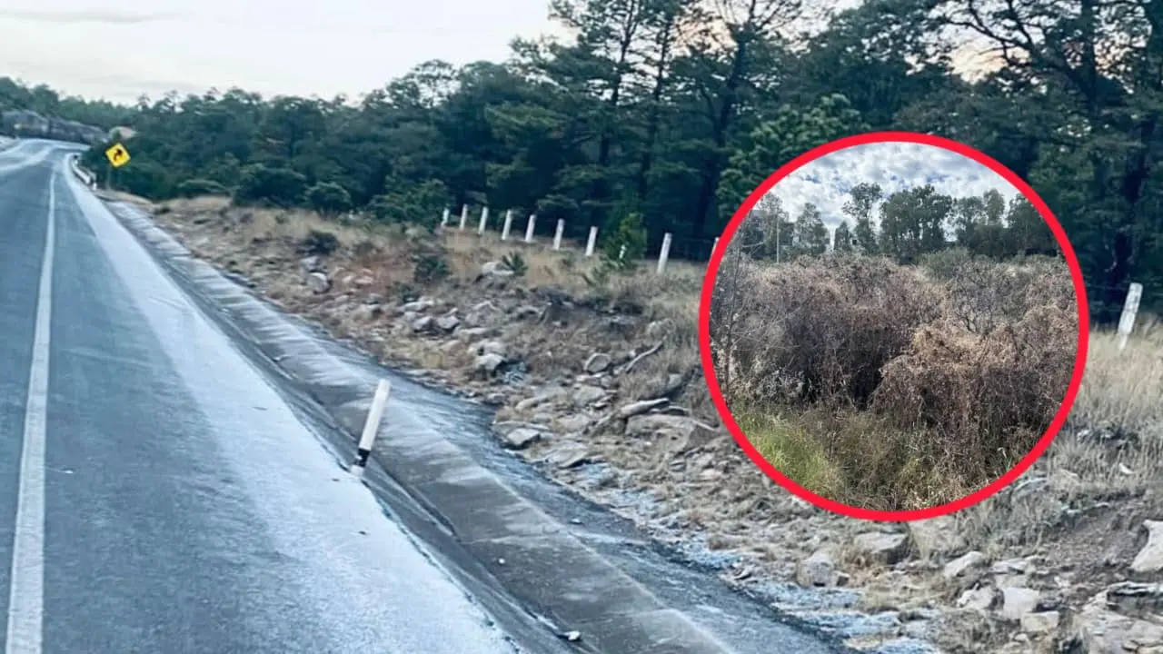 Conoce de qué magnitud fue la primera nevada del año en Durango según CONAGUA.. | Foto: Especial