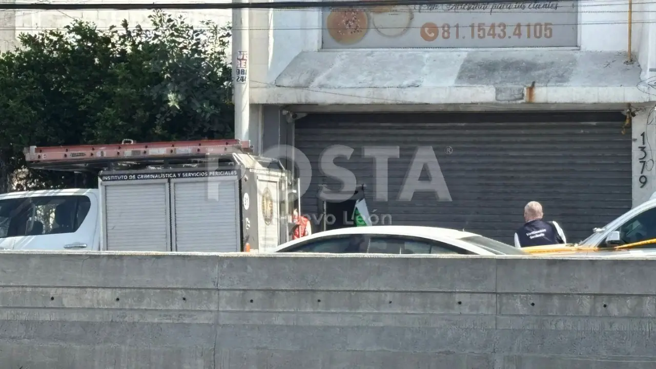 Las primeras investigaciones señalan que el establecimiento era utilizado para la cremación irregular de animales, principalmente perros/Foto: POSTA