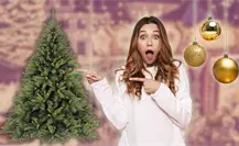 Feria del Pino 2025 en Nuevo León: Así puedes escoger el árbol navideño que llenará de luz y color tu sala