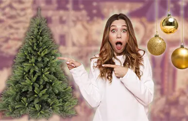 Feria del Pino 2025 en Nuevo León: Así puedes escoger el árbol navideño que llenará de luz y color tu sala