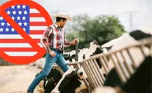 Coahuila confirma que no hay reapertura cercana del comercio con EU Coahuila confirma que no hay reapertura cercana del comercio con EU