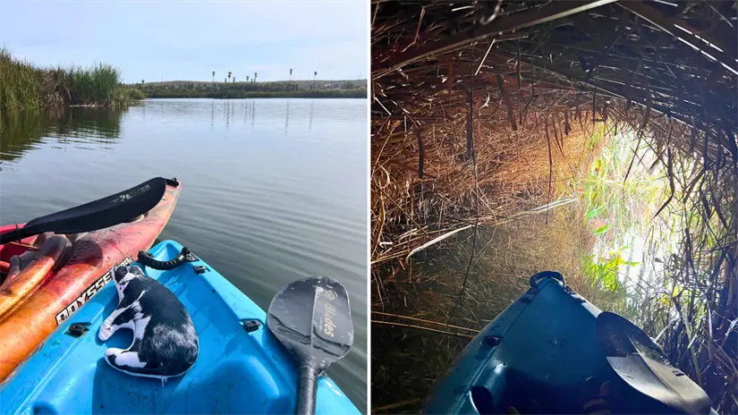 Kayak en Laguna de Santiago. Foto: POSTA Baja California Sur