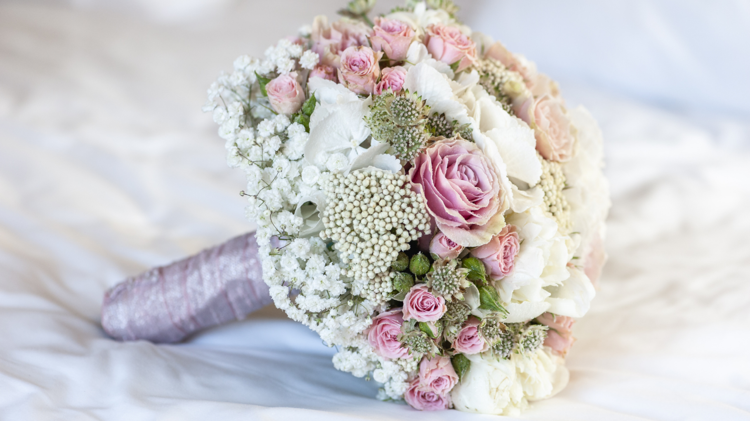 imagen-cuerpo imagen-cuerpo