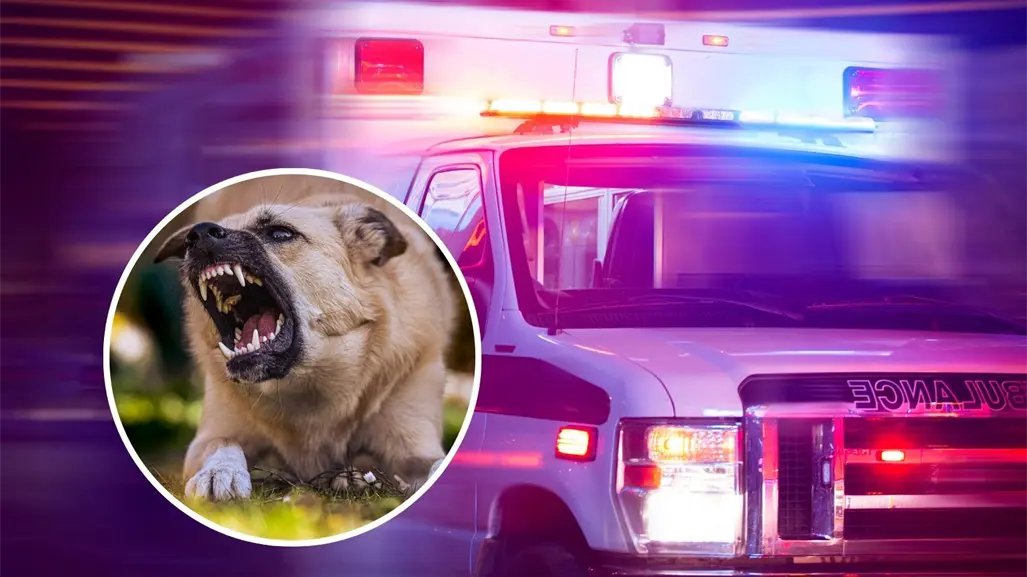 Ataque de perro en Torreón deja a adulta mayor en estado crítico