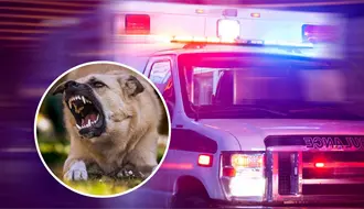 Ataque de perro en Torreón deja a adulta mayor en estado crítico