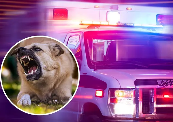 Ataque de perro en Torreón deja a adulta mayor en estado crítico