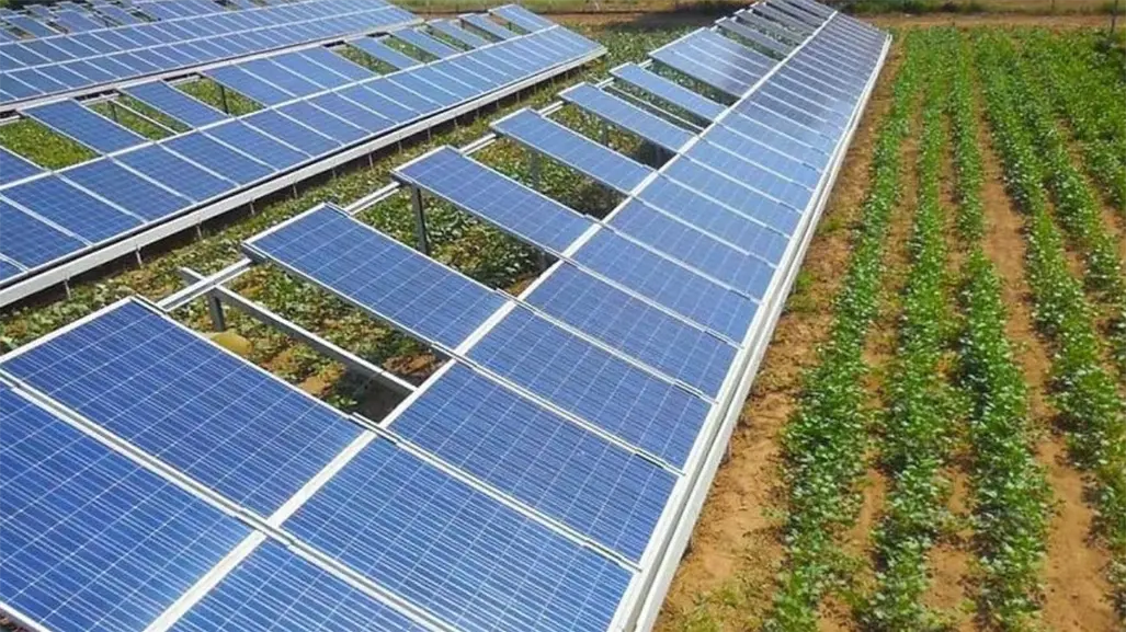 Productores del campo en Tamaulipas usarán energía solar para su sistema de riego, ¿de qué se trata?