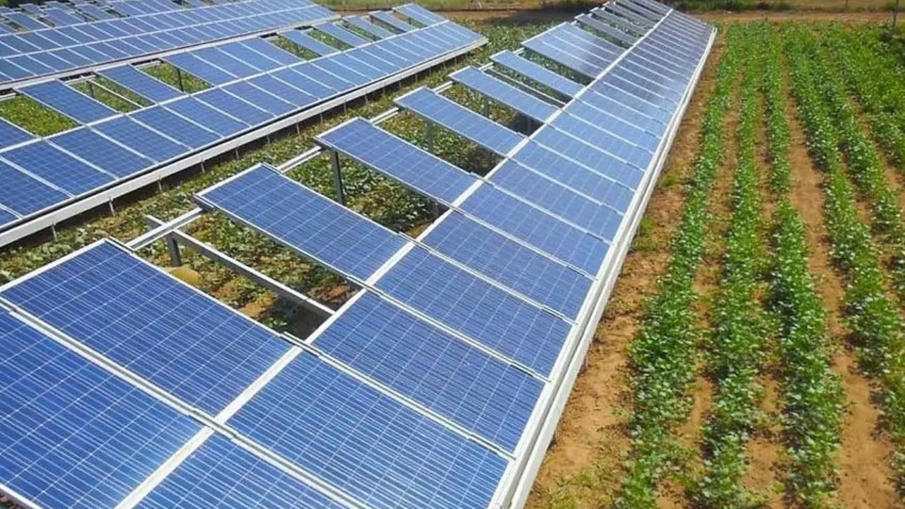 La estrategia pretende reducir los costos de electricidad que enfrentan los agricultores y mejorar la eficiencia en el uso del agua. Foto: Gobierno de México