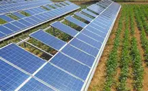 Productores del campo en Tamaulipas usarán energía solar para su sistema de riego, ¿de qué se trata? Productores del campo en Tamaulipas usarán energía solar para su sistema de riego, ¿de qué se trata?