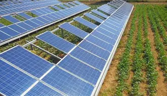 Productores del campo en Tamaulipas usarán energía solar para su sistema de riego, ¿de qué se trata?