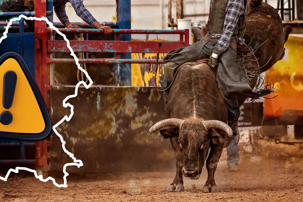 Un vaquero durante un rodeo haciendo alusión al evento en Coahuila / Foto: Composición de Canva