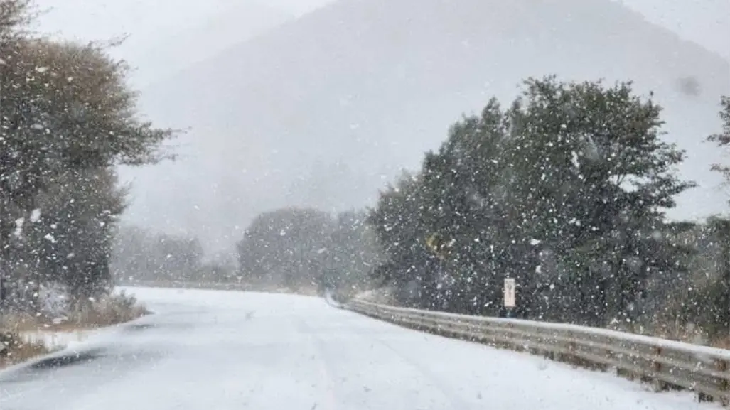 Frente frío 16: ¿Cuándo llega la primera Tormenta Invernal a México? Esto dice Conagua