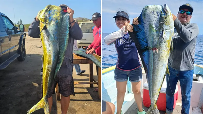 Capturas durante un torneo. Foto: Torneo de Pesca El Grande