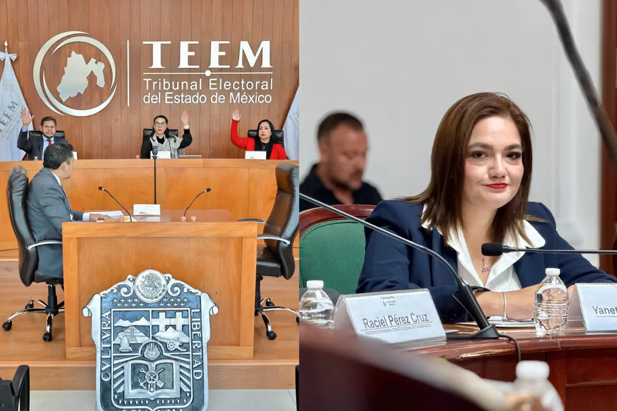 Tribunal Electoral del Estado de México sanciona a “Callo de Hacha” por violencia política de género en Edomex | Foto: Tribunal Electoral del Estado de México