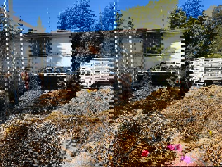 imagen-cuerpo imagen-cuerpo