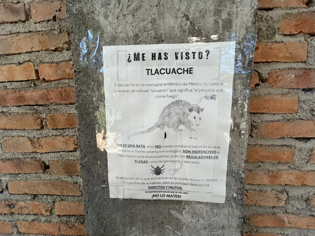 FOTOS |Así luce el Tecnológico de Durango en medio de su cierre por protestas